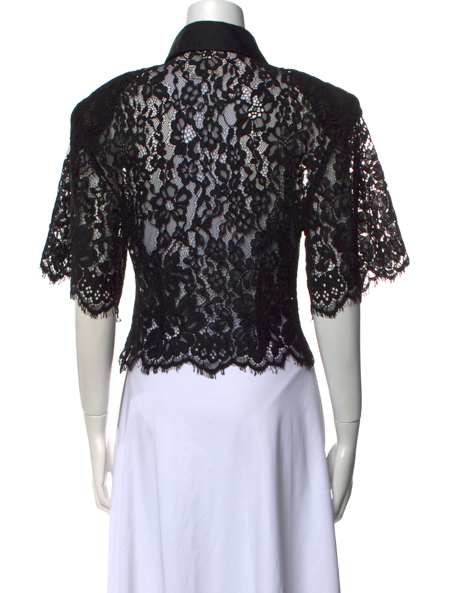 Helsa Lace Pattern Short Sleeve Crop Top